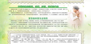 智慧森林 童裝品牌新勢力，攜手遠(yuǎn)大恒通共創(chuàng)未來